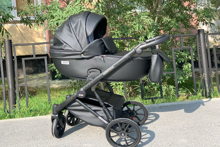 Представляем новинку: коляска Riko Basic Montana Ecco 2 в 1 в разнообразных цветовых решениях
